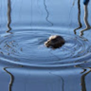 Meet your Posher, Mic